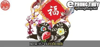 Tử vi Trọn đời tuổi Hợi