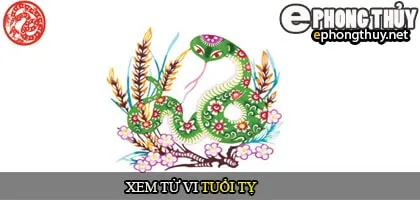 Tử vi Trọn đời tuổi Tỵ