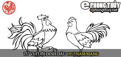 Tử vi tuổi Đinh Dậu 1957 nam mạng