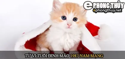 Tử vi tuổi Đinh mão 1987 nam mạng