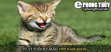 Tử vi tuổi Kỷ mão 1999 nam mạng