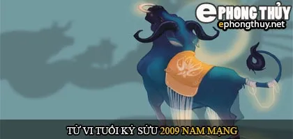 Tử vi tuổi Kỷ sửu 2009 nam mạng
