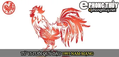 Tử vi tuổi Quý Dậu 1993 nam mạng