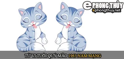 Tử vi tuổi Qúy mão 1963 nam mạng
