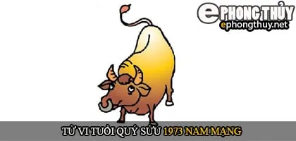 Tử vi tuổi Quý sửu 1973 nam mạng