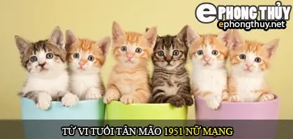 Tử vi tuổi Tân mão 1951 nữ mạng